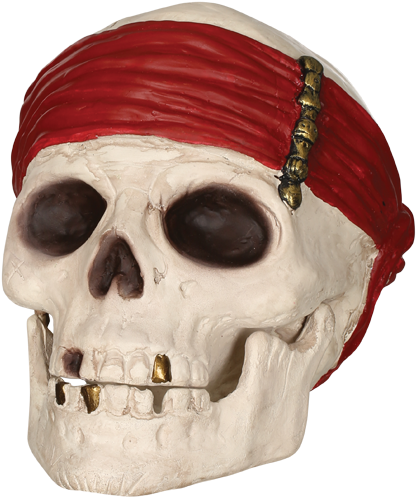 Pirate Skullwith Red Bandana PNG