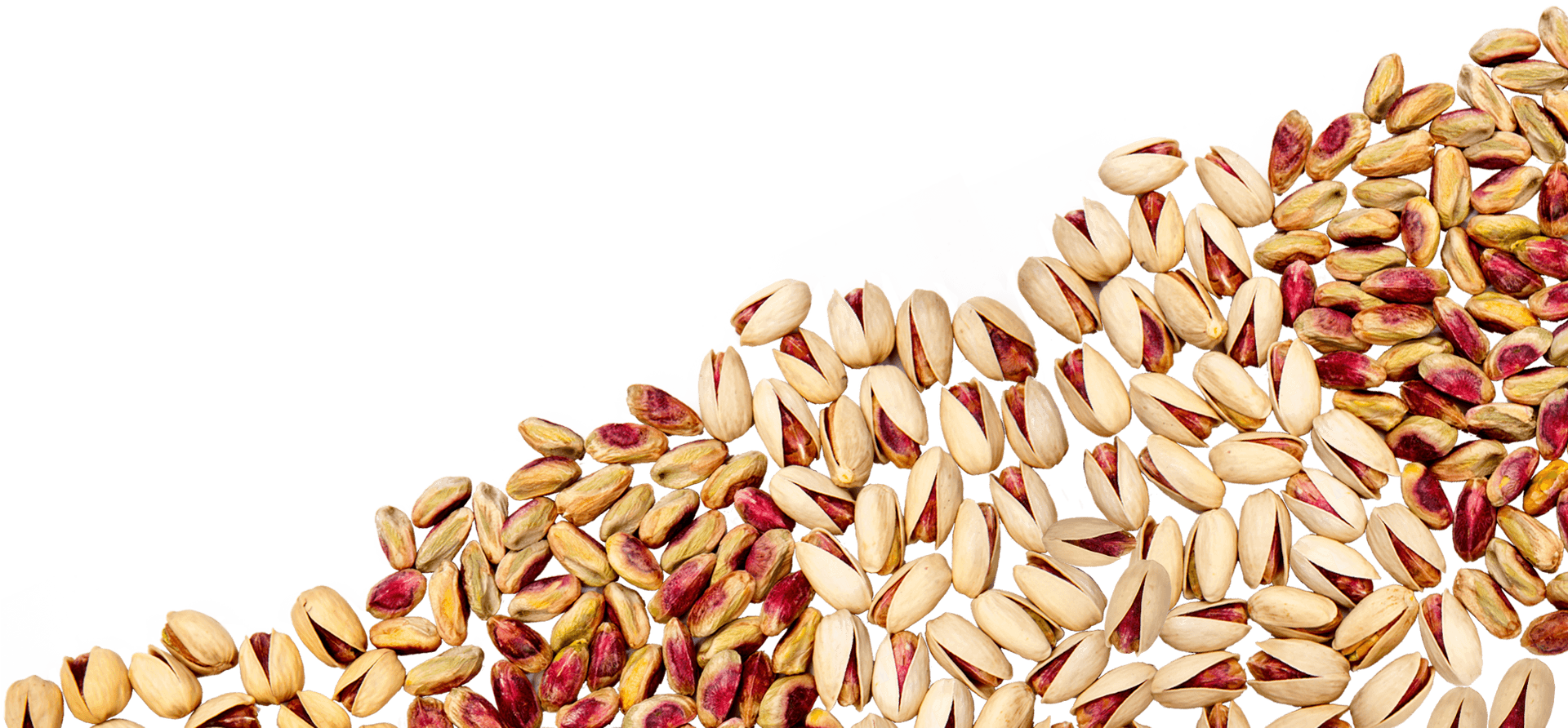 Pistachio Pile Transparent Background PNG