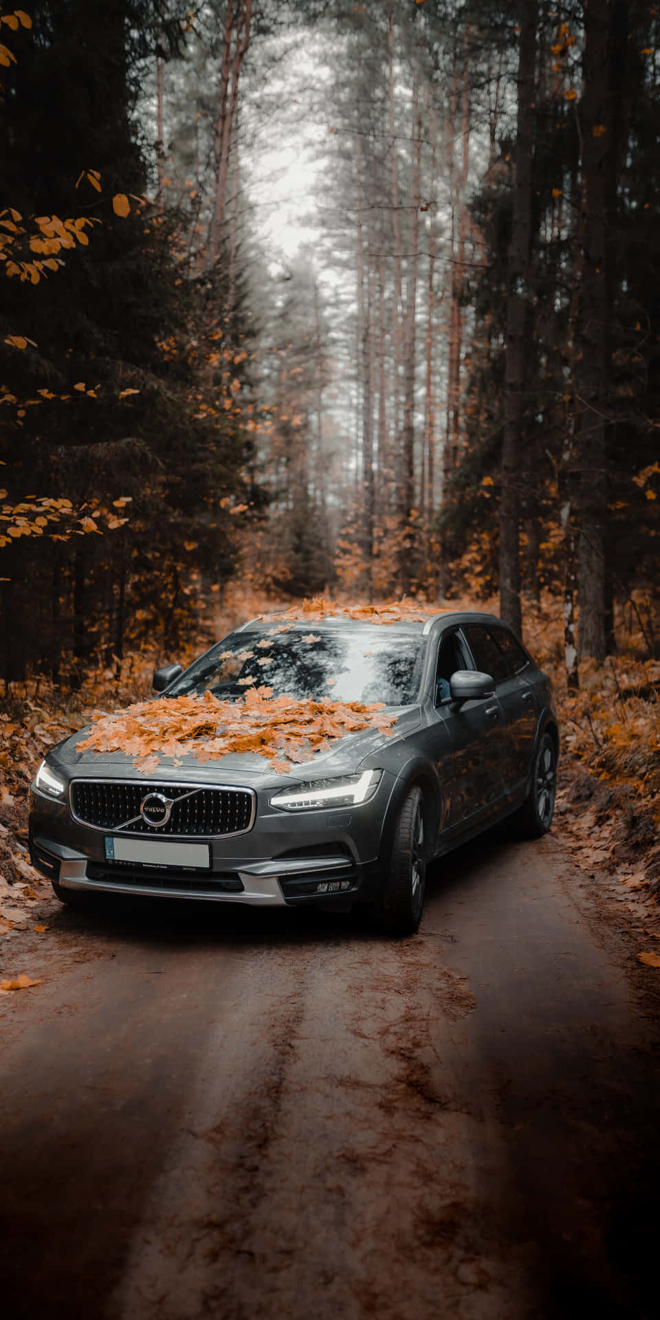 Volvov60 Auto Pixel 3 Herbst Hintergrund