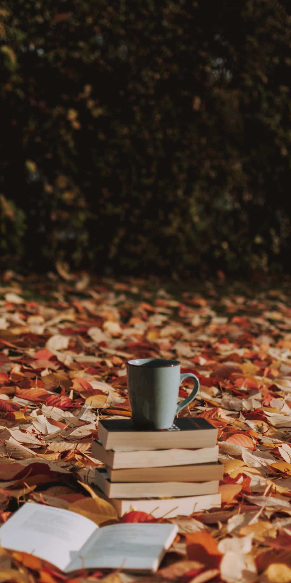 Beautiful Autumnal Scene with Pixel 3