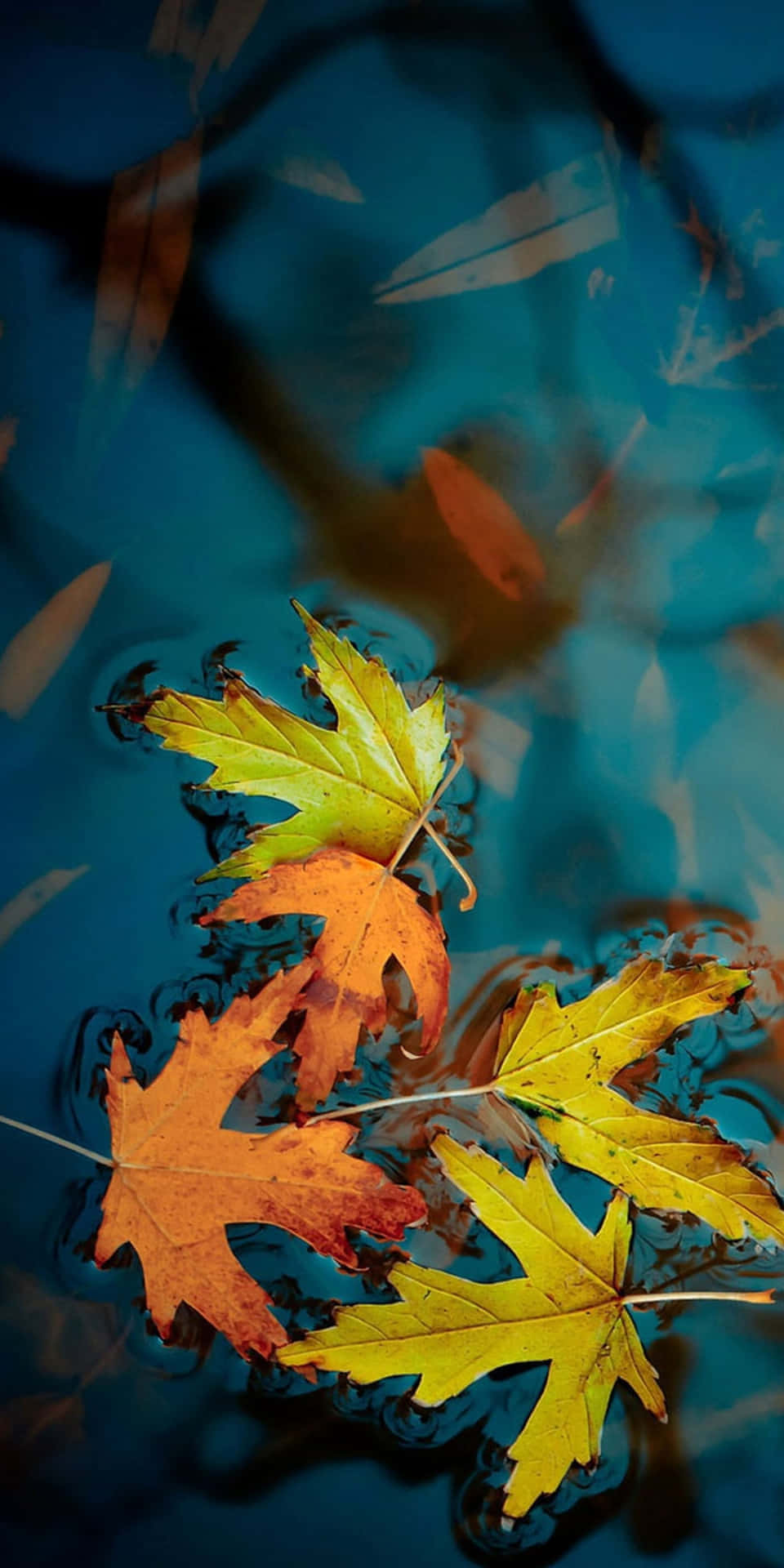 Floating Leaves Pixel 3 Autumn Background