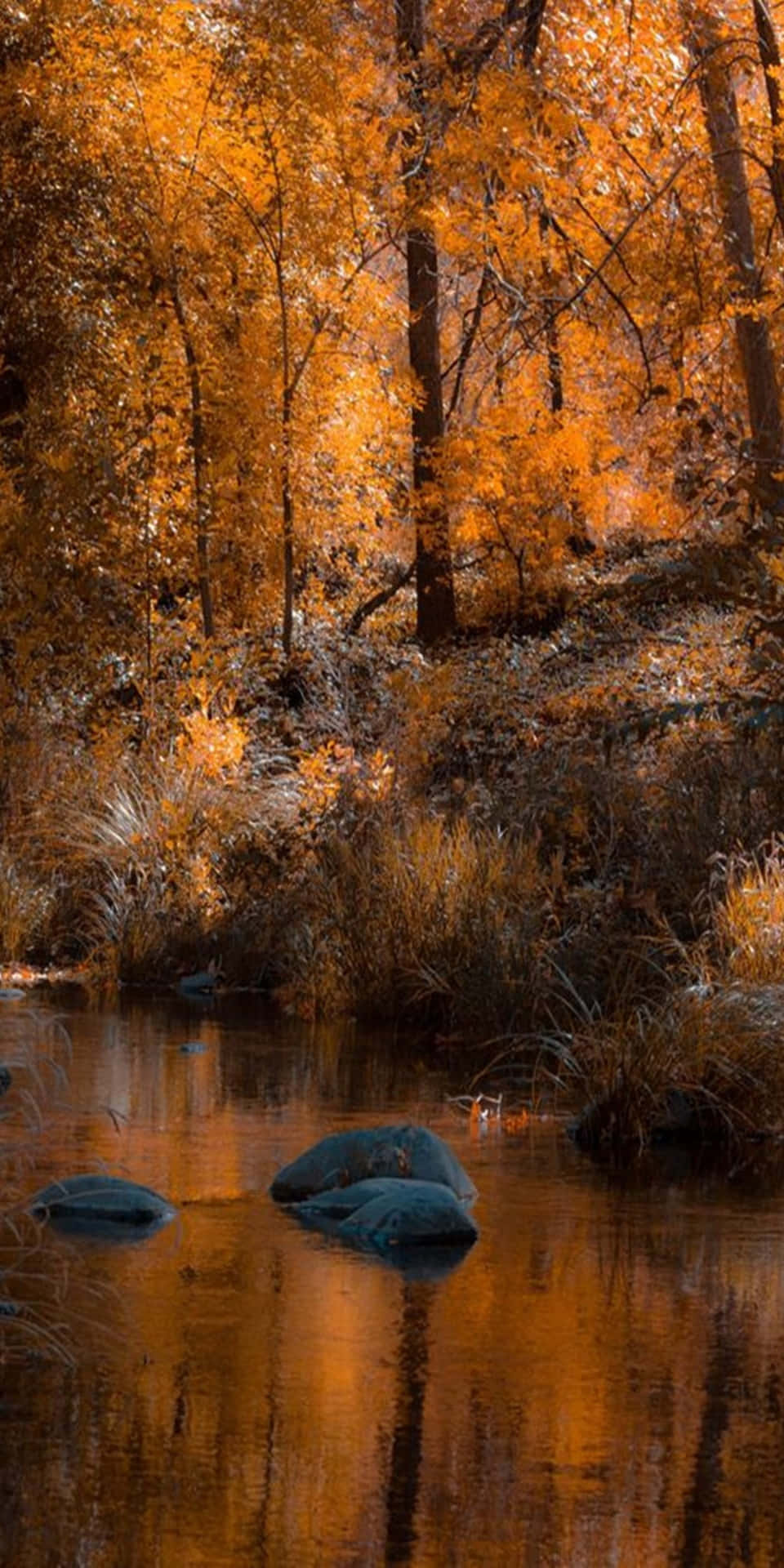 Pixel3 Herbst Seeblick Landschaft Hintergrund