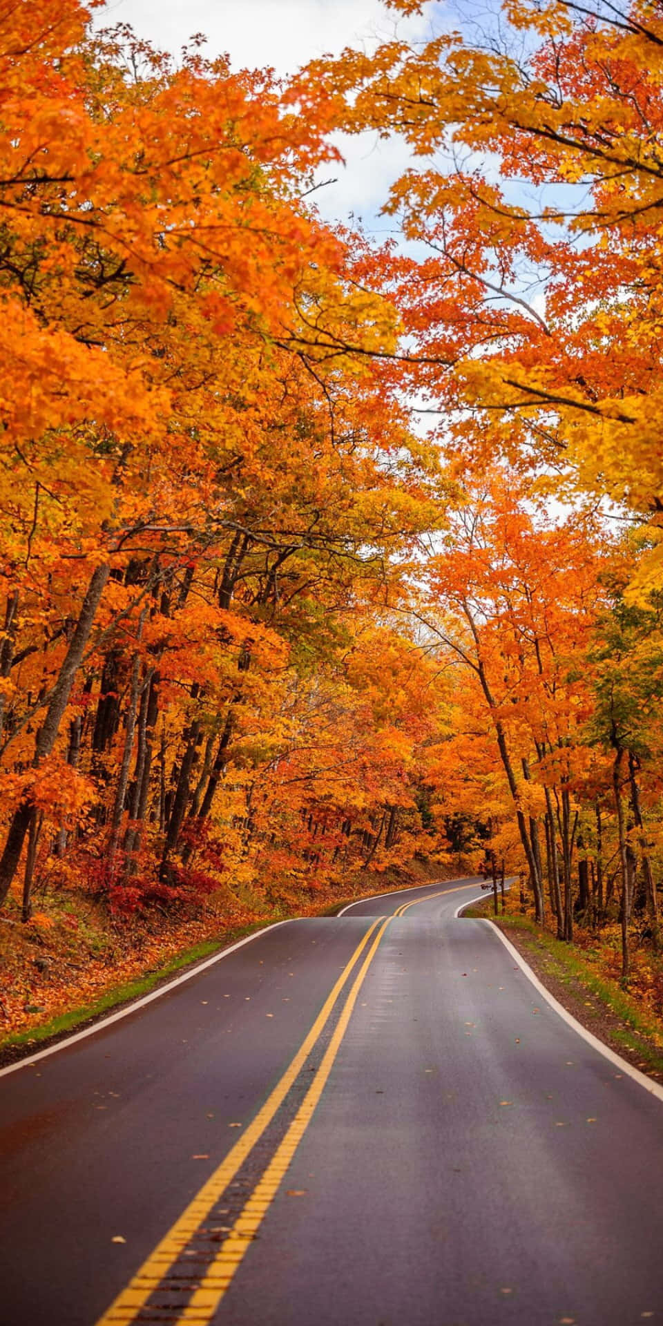 Fangensie Die Schönheit Des Herbstes Mit Ihrem Neuen Pixel 3 Ein