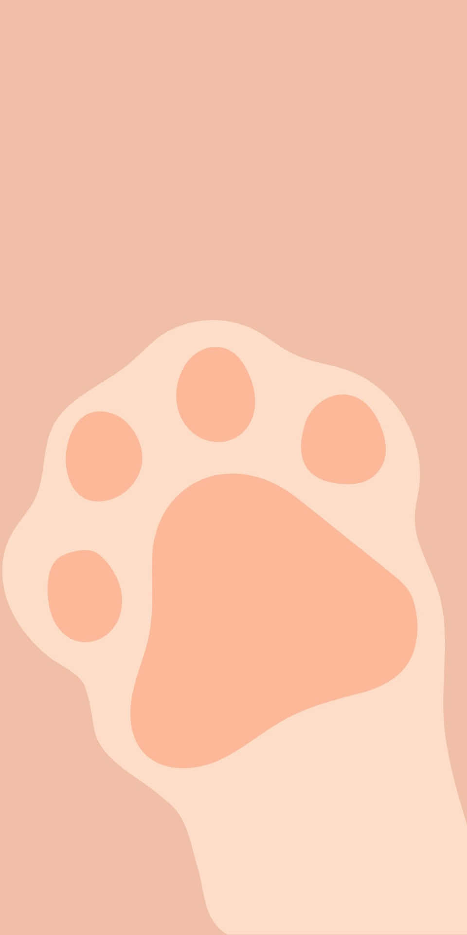 Cute Paw Print For Pixel 3 Background