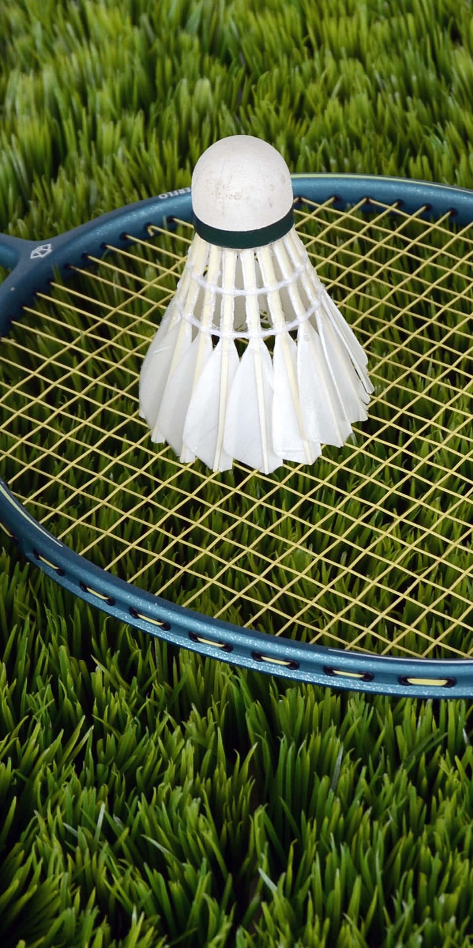 Grass Field With Racket And Shuttlecock Pixel 3 Badminton Background