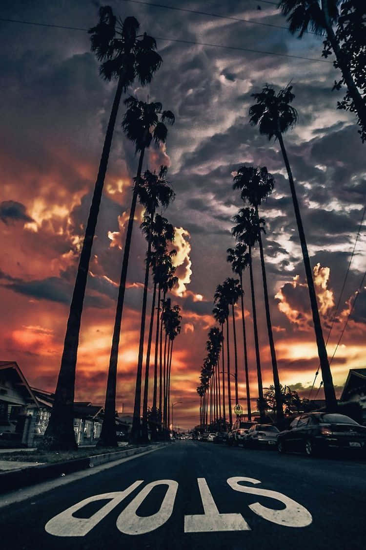Cloudy Boulevard Pixel 3 California Background