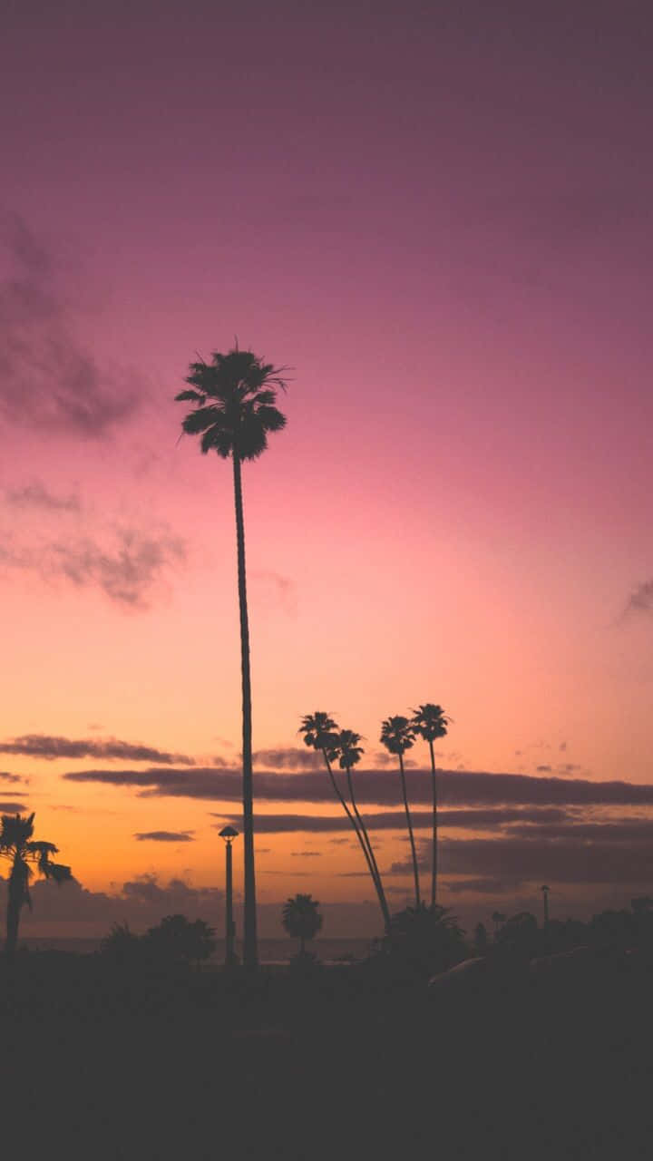 Purple Sky Pixel 3 California Background
