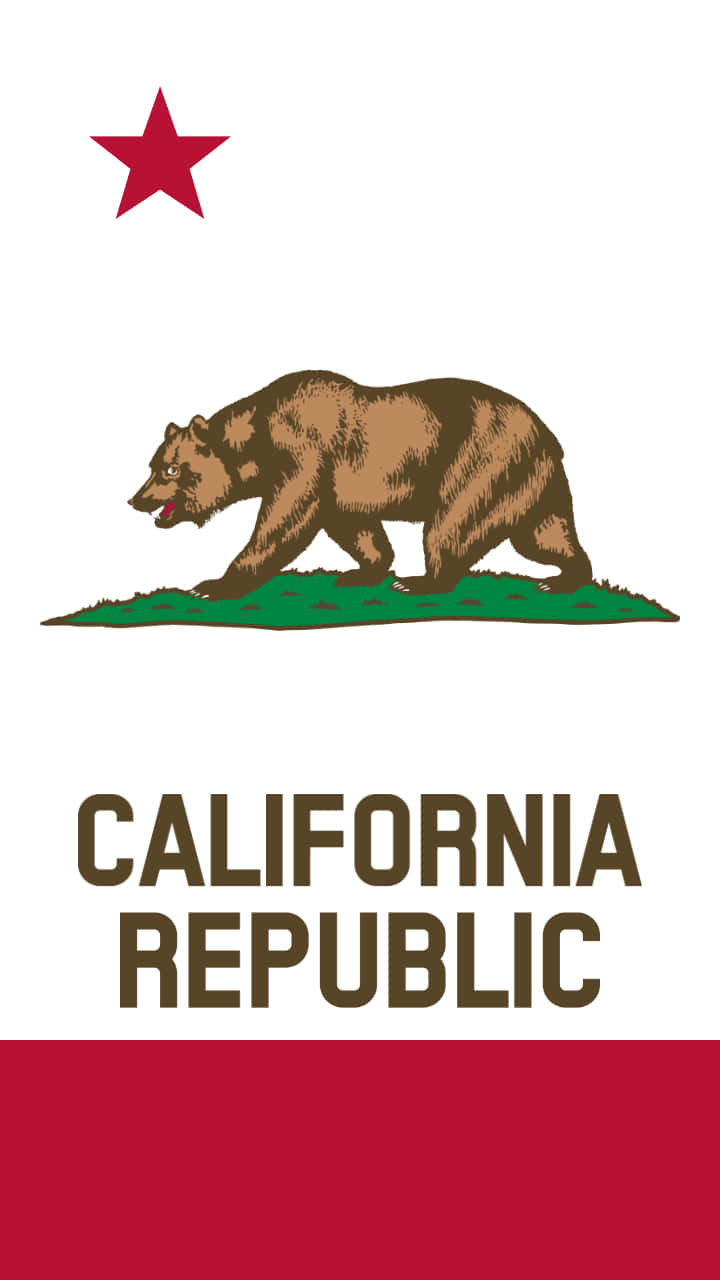 Fundodo Grizzly Bear Pixel 3 Da Califórnia.
