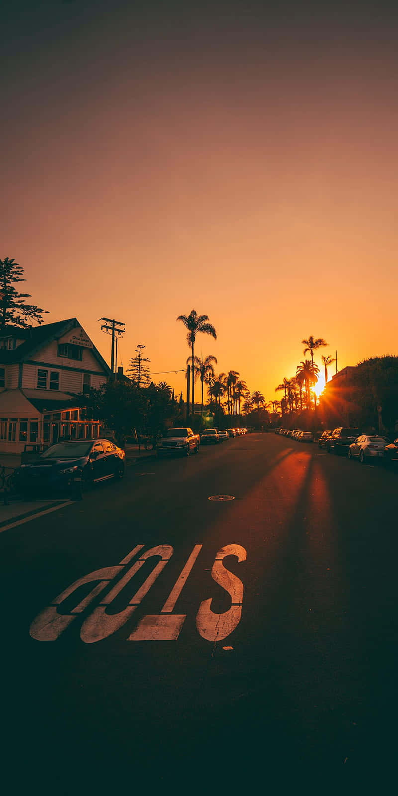 Sonnenuntergangbaum Silhouette Pixel 3 Kalifornien Hintergrund