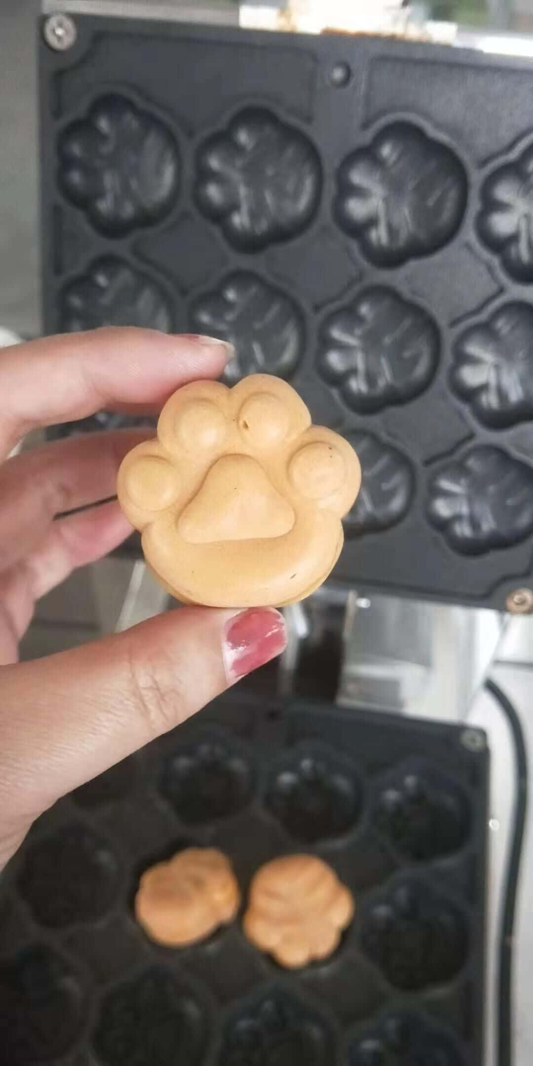 A Person Holding A Waffle Maker With A Paw Print On It