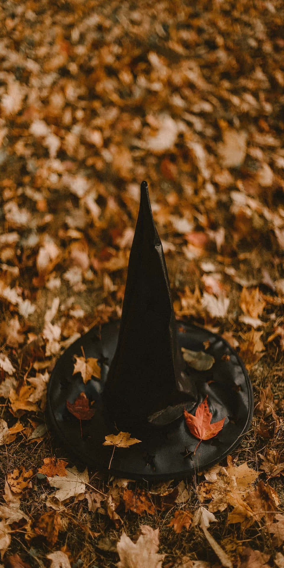 Pixel3 Herbst Hintergrund Mit Spitze Schwarzem Hexenhut