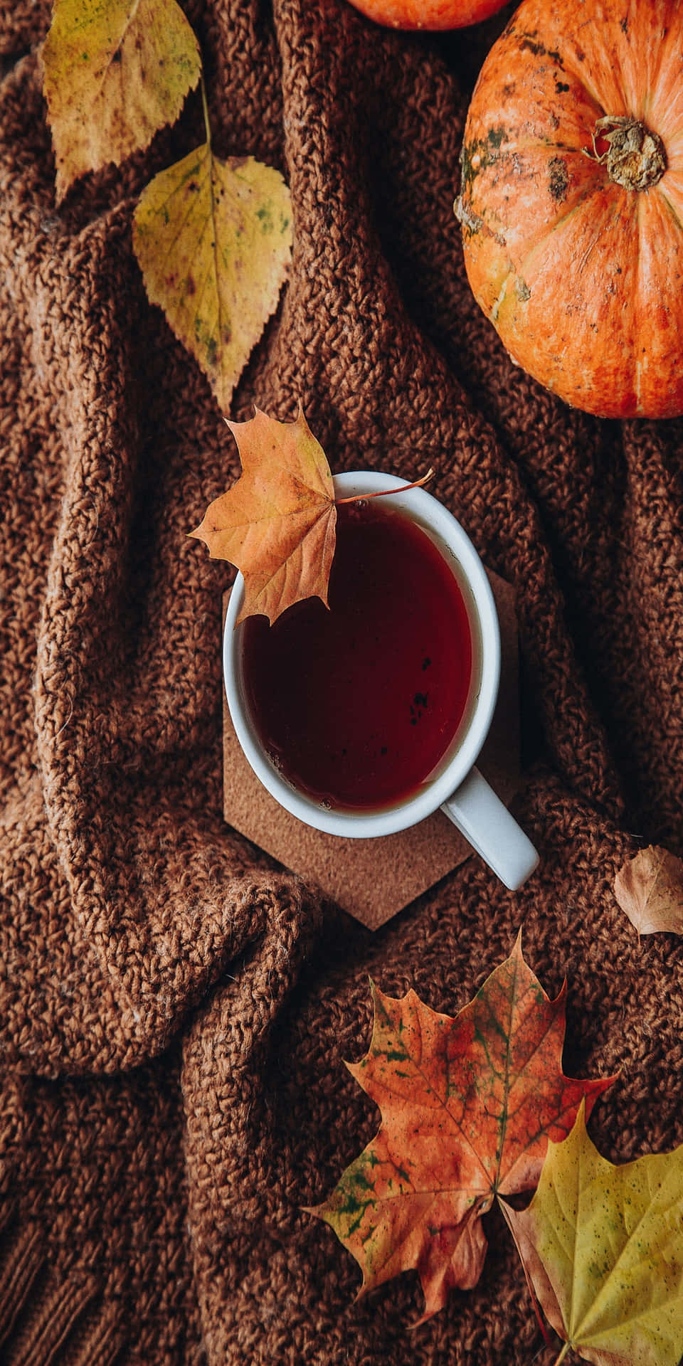 Pixel3 Herbst Roten Tee Auf Einem Decken-hintergrund.