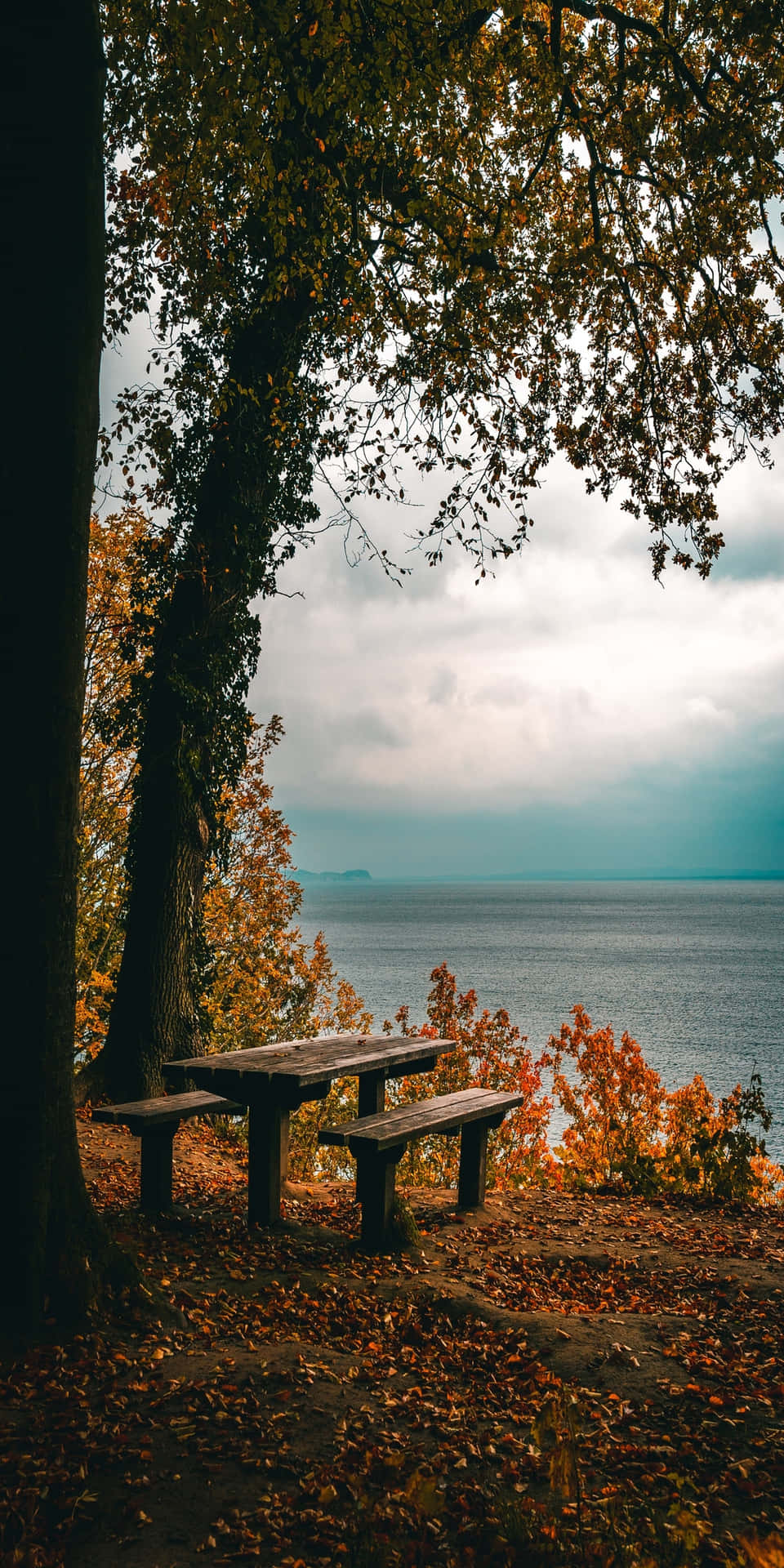 Pixel 3 Fall Bench By The Sea Background