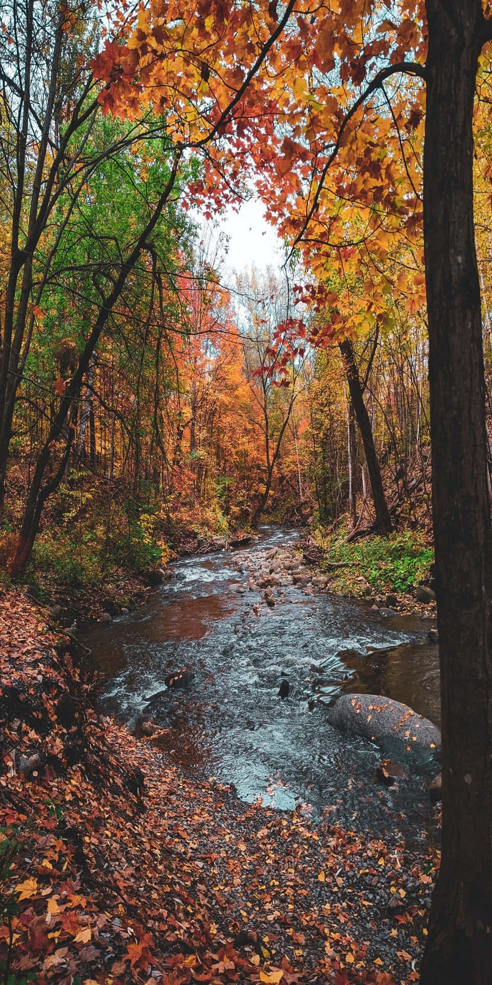 Pixel3 Herbst Flacher Fluss Hintergrund