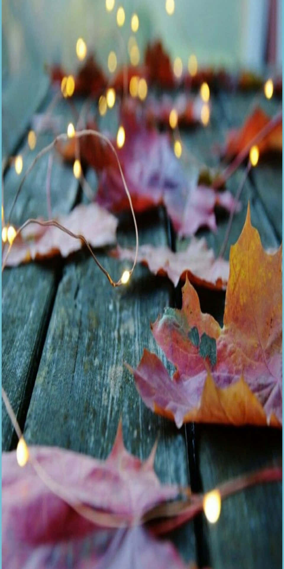 Pixel3 Herbst Getrocknete Blätter Auf Einem Holzbank-hintergrund