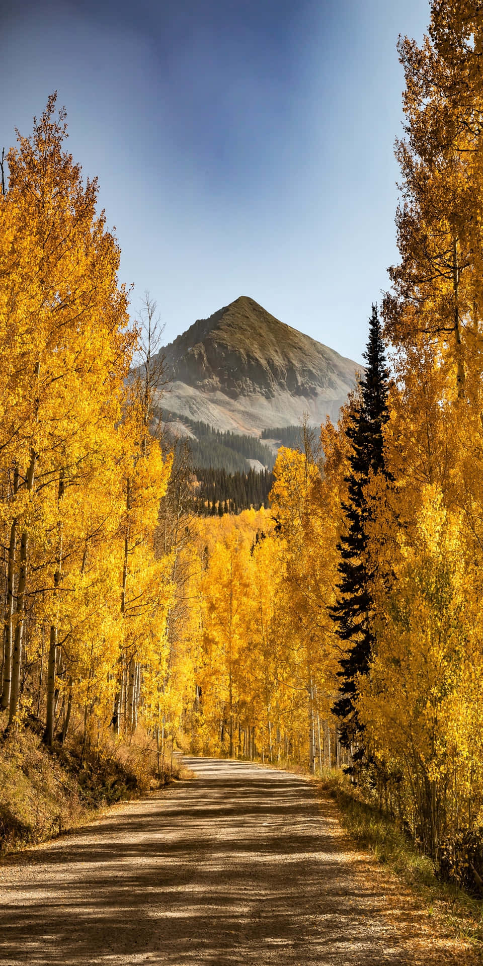Pixel 3 efterår gul træer med bjerg som baggrund