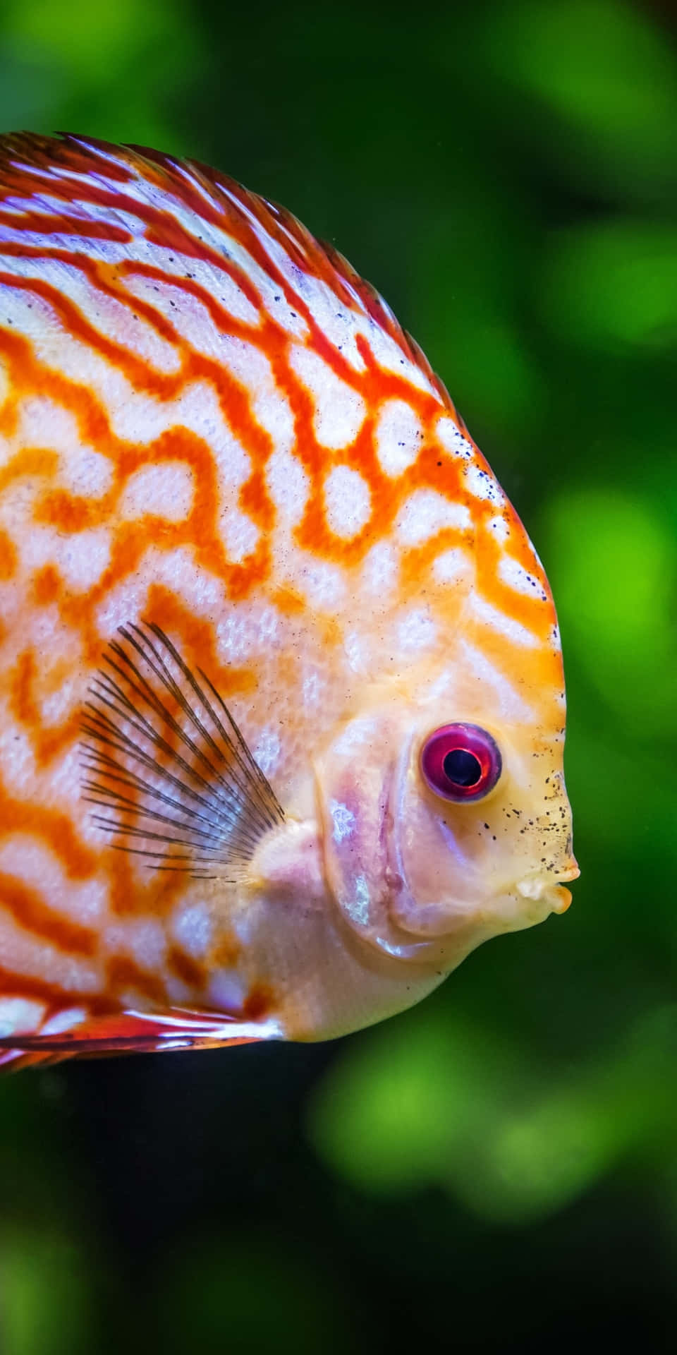 A vibrant pixelized fish against a beautiful background