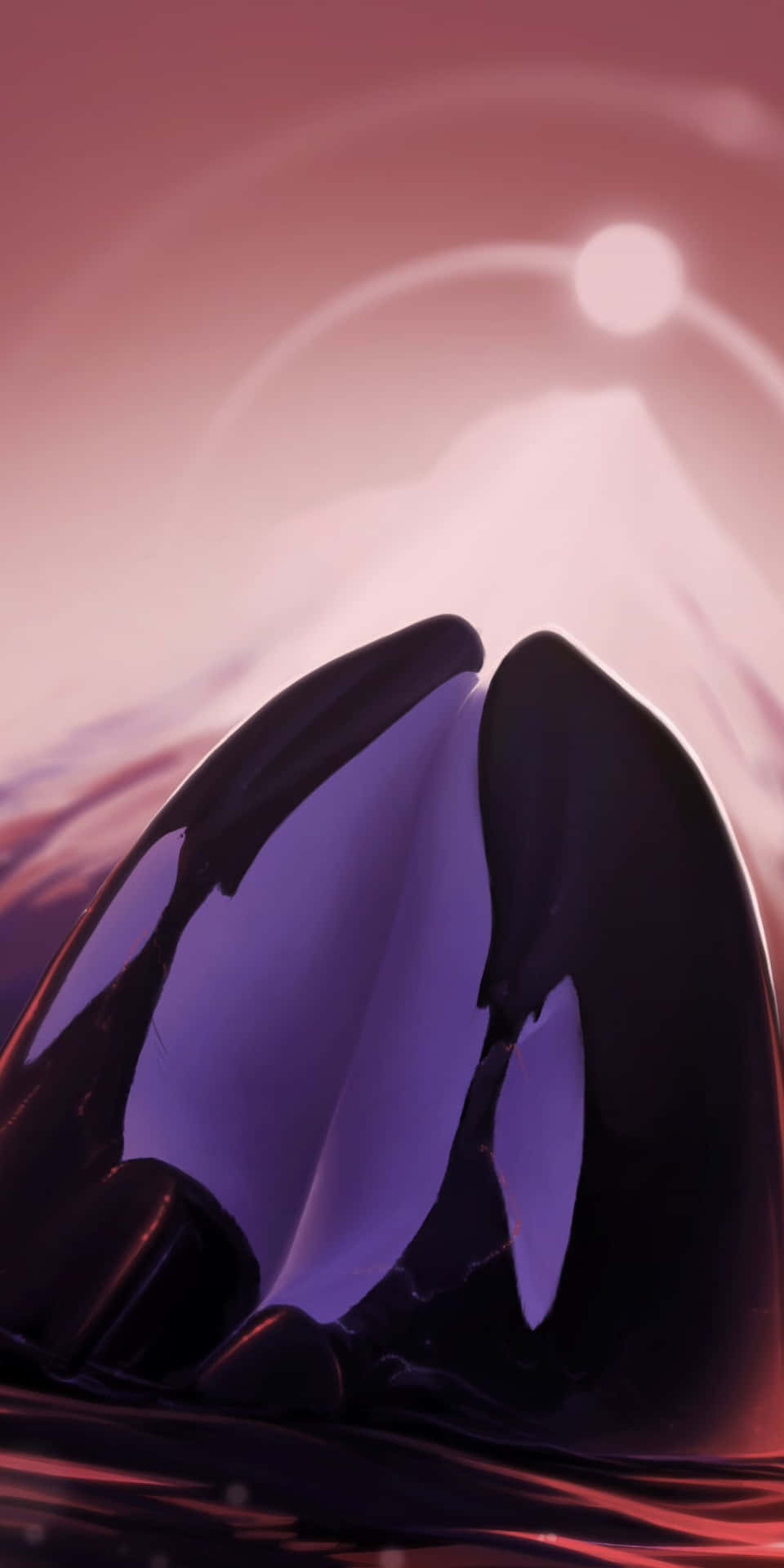 An Orca Whale Is Floating In The Water
