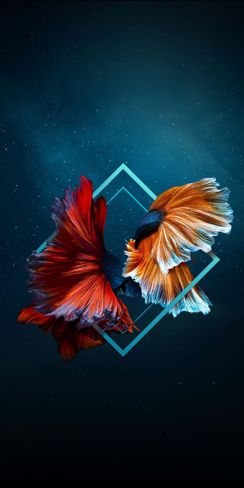 Two Fish Swimming In The Sky