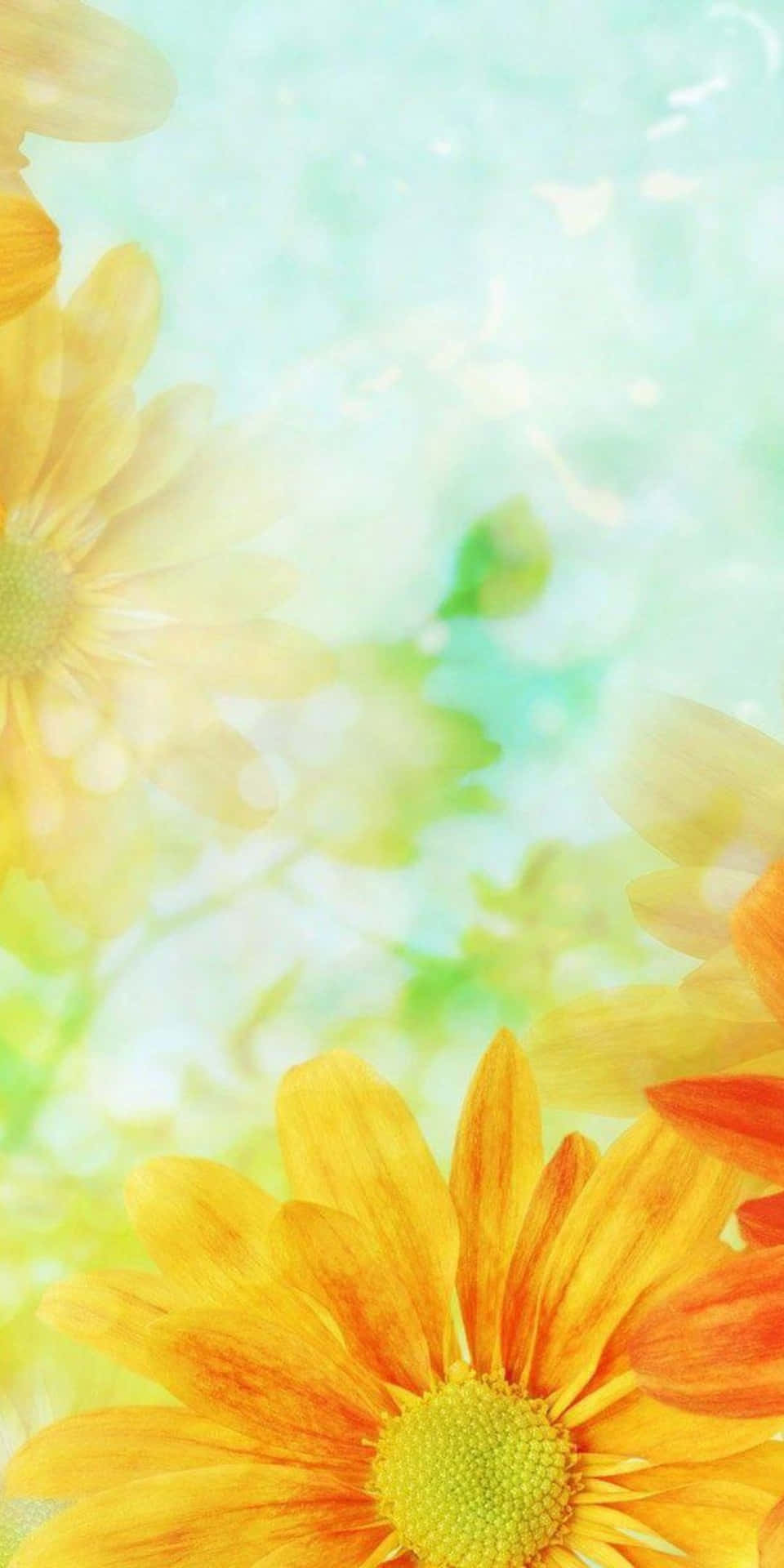 Lovely Orange Pixel 3 Flowers Background