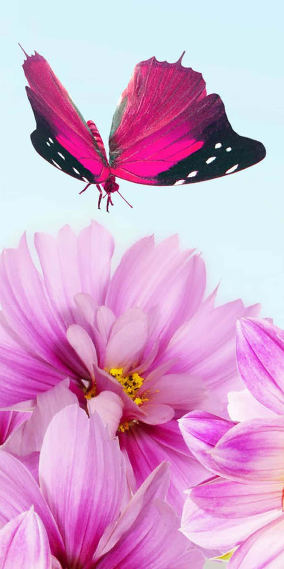 Pixel 3 Flowers And Purple Butterfly Background