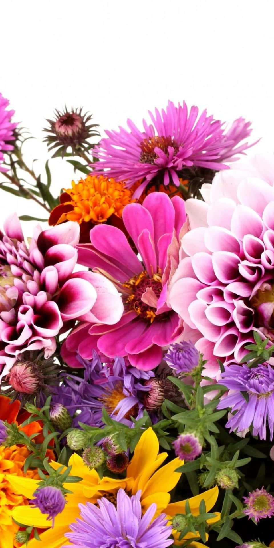 Pixel3 Lebendiger Und Hübscher Hintergrund Mit Blumen