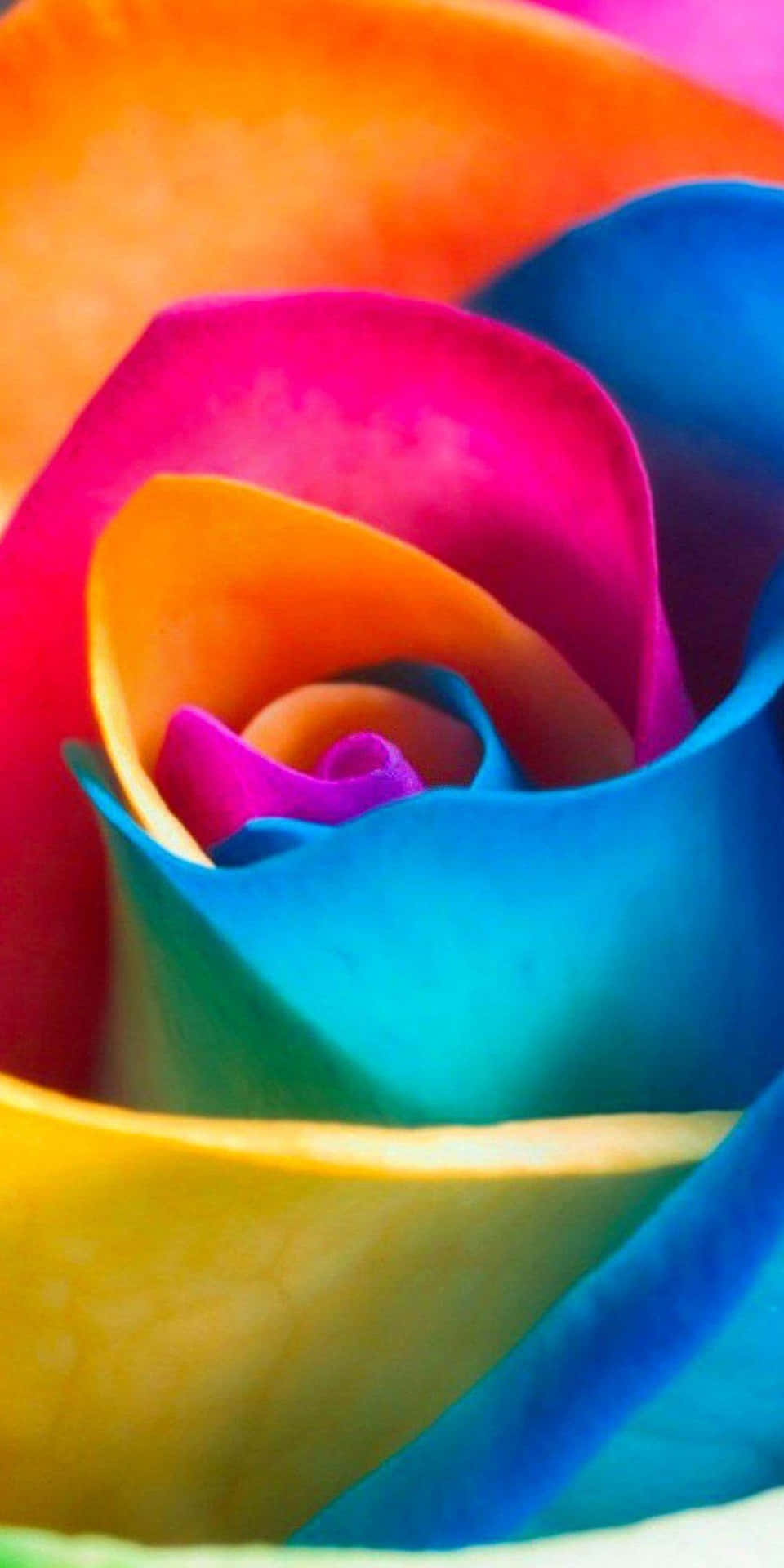 Fondode Pantalla De Flores Pixel 3 Con Rosas Coloridas.