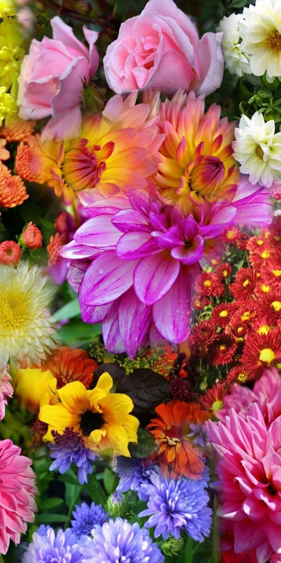 Pixel3 Hintergrund Mit Wunderschönen Blühenden Blumen