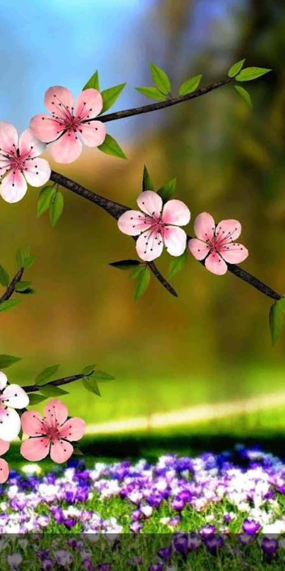 Pixel 3 Cherry Blossoms Flowers Digital Art Background