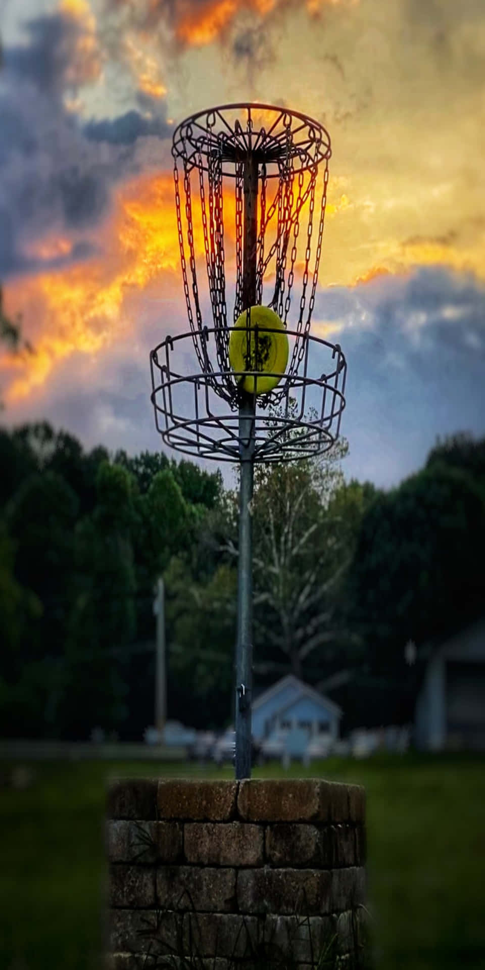 Enfärgglad Frisbee Som Flyger Genom Luften Upplyst Av En Solnedgång.