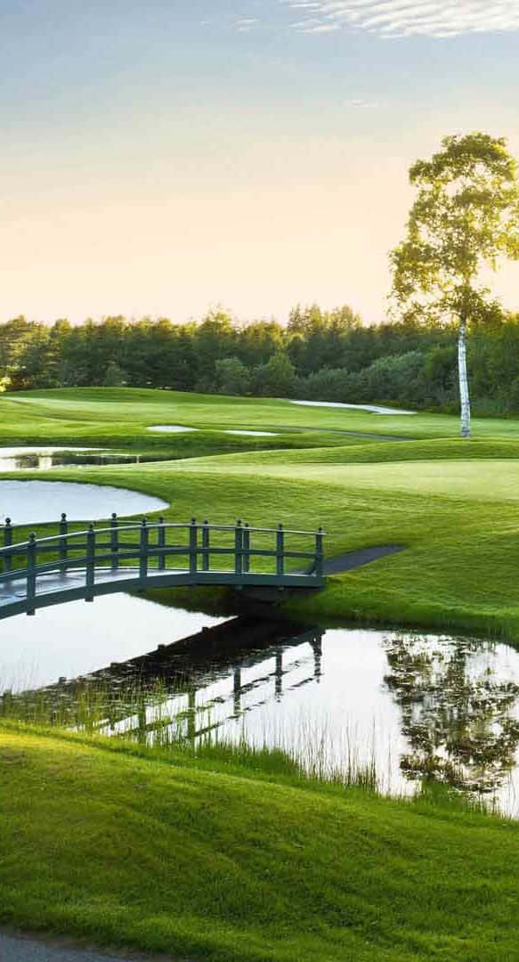 Bridge Over Water Hazard Pixel 3 Golf Course Background