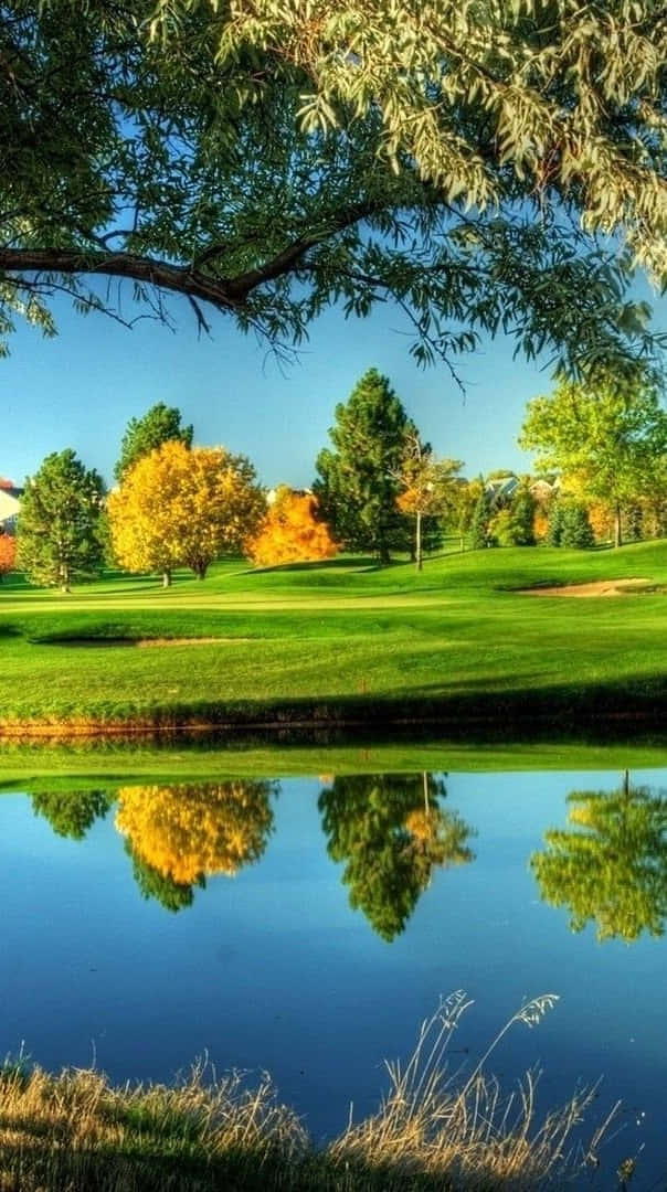Green And Yellow Trees Pixel 3 Golf Course Background
