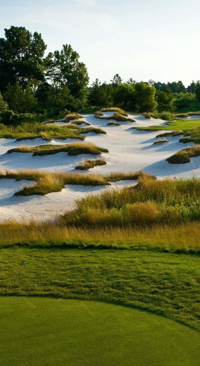 Pixel 3 Harbor Shores Golf Course Background