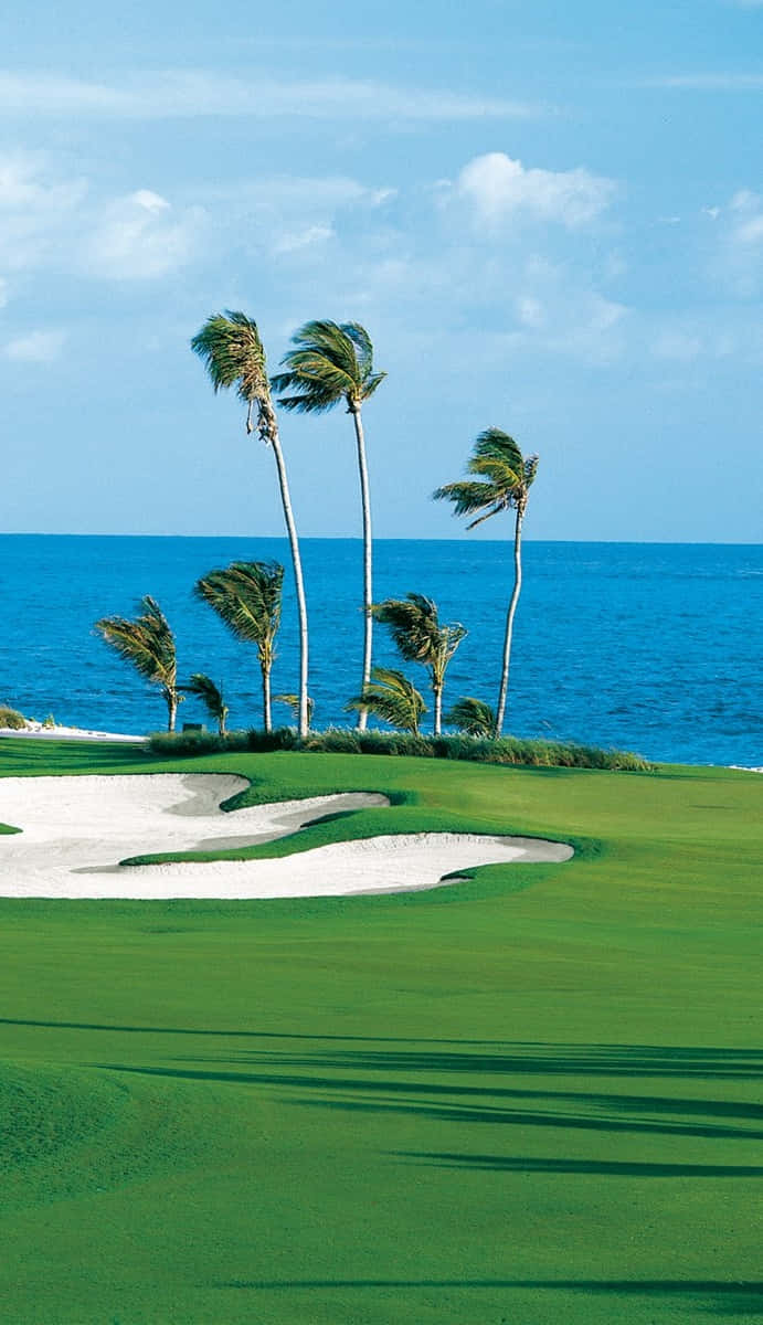 Pixel 3 Beach Golf Course Background