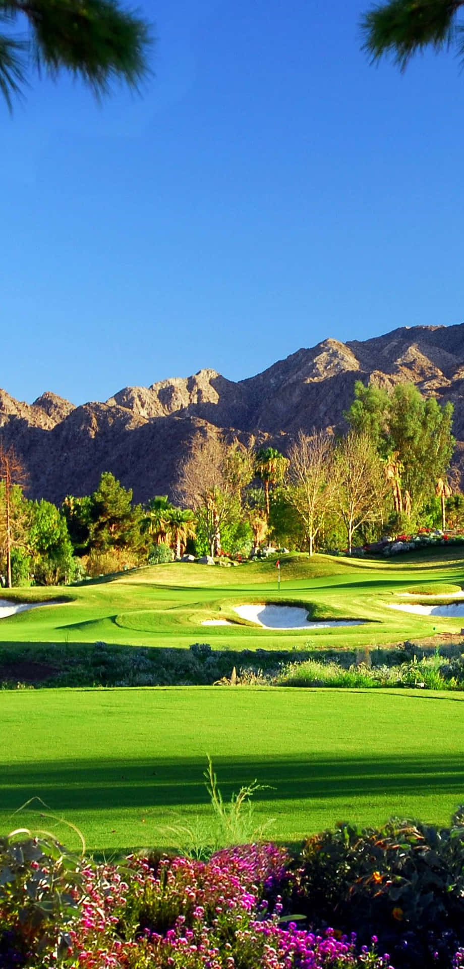 Pixel 3 Indian Wells Golf Course Background