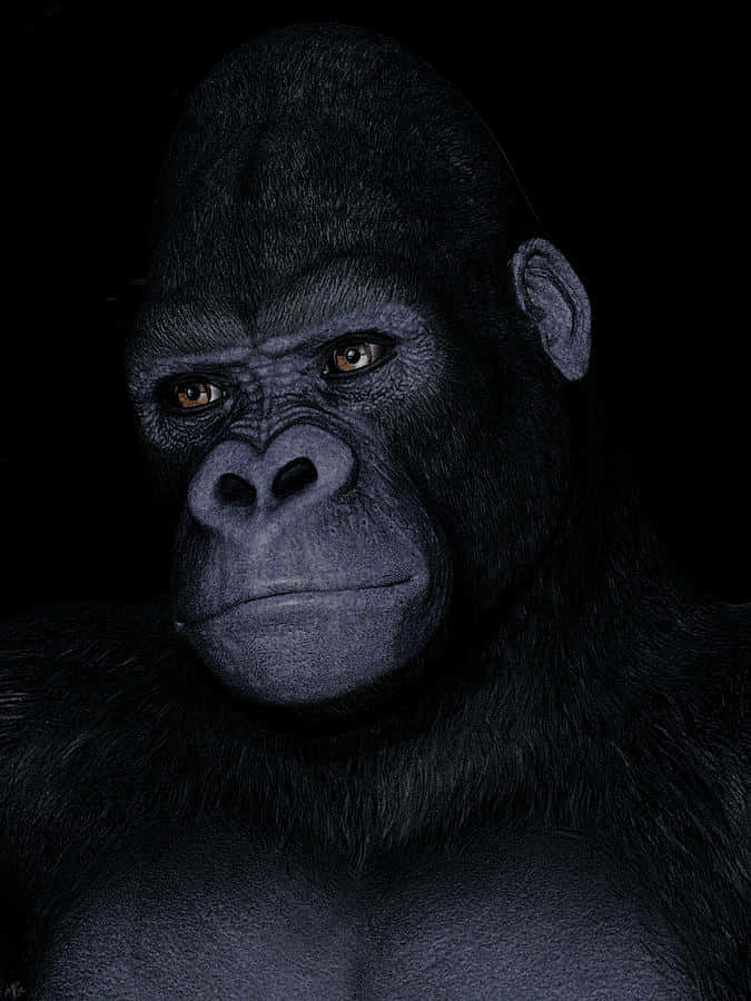 Pixel3 Bakgrundsbild Med En Ung Gorilla Med Hjärtformad Nos.