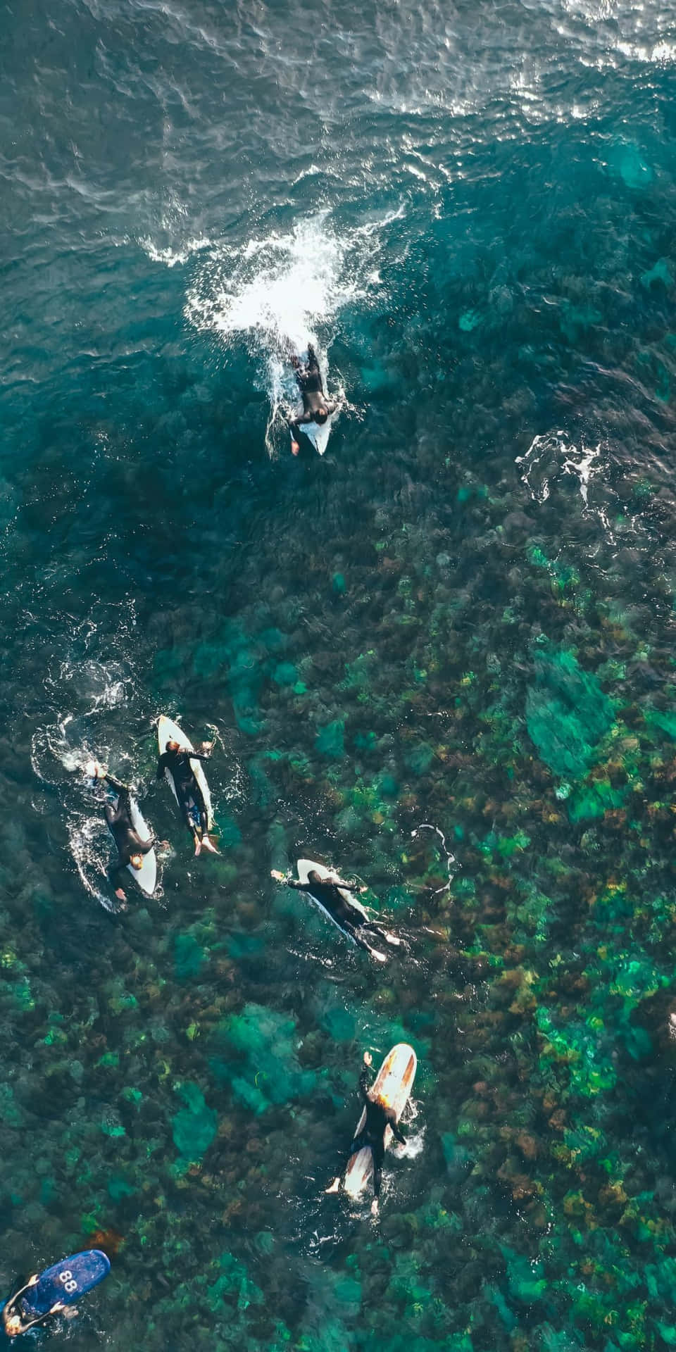Surferens Pixel 3 Malibu baggrund - Den mest farverige lavvandede 3D-baggrund i verden.