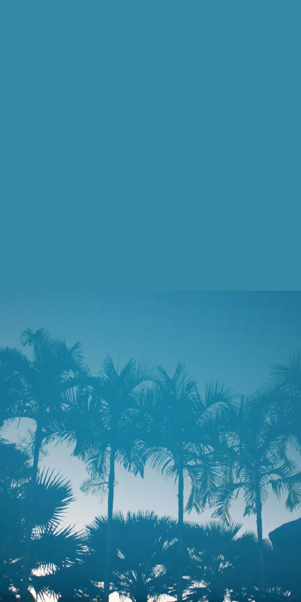 Palmträdsilhuett Pixel 3 Malibu Bakgrundsbild.