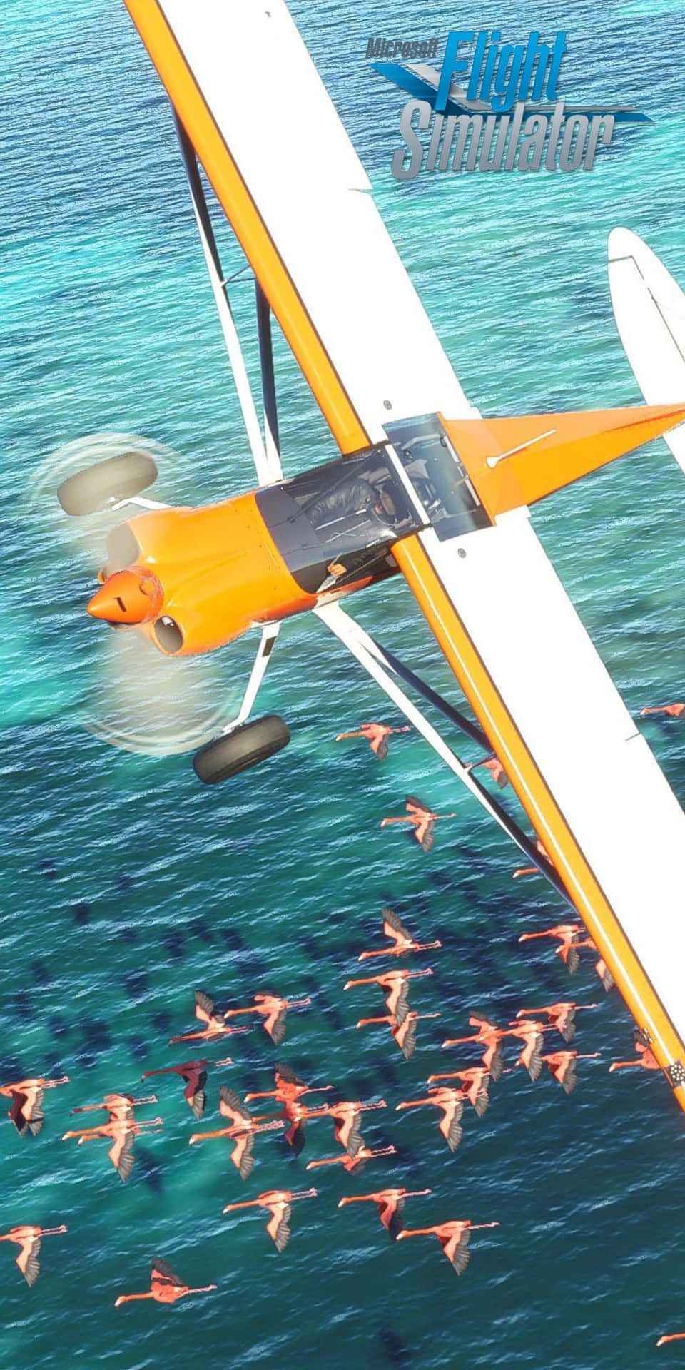 Reach new heights in Pixel 3 Microsoft Flight Simulator