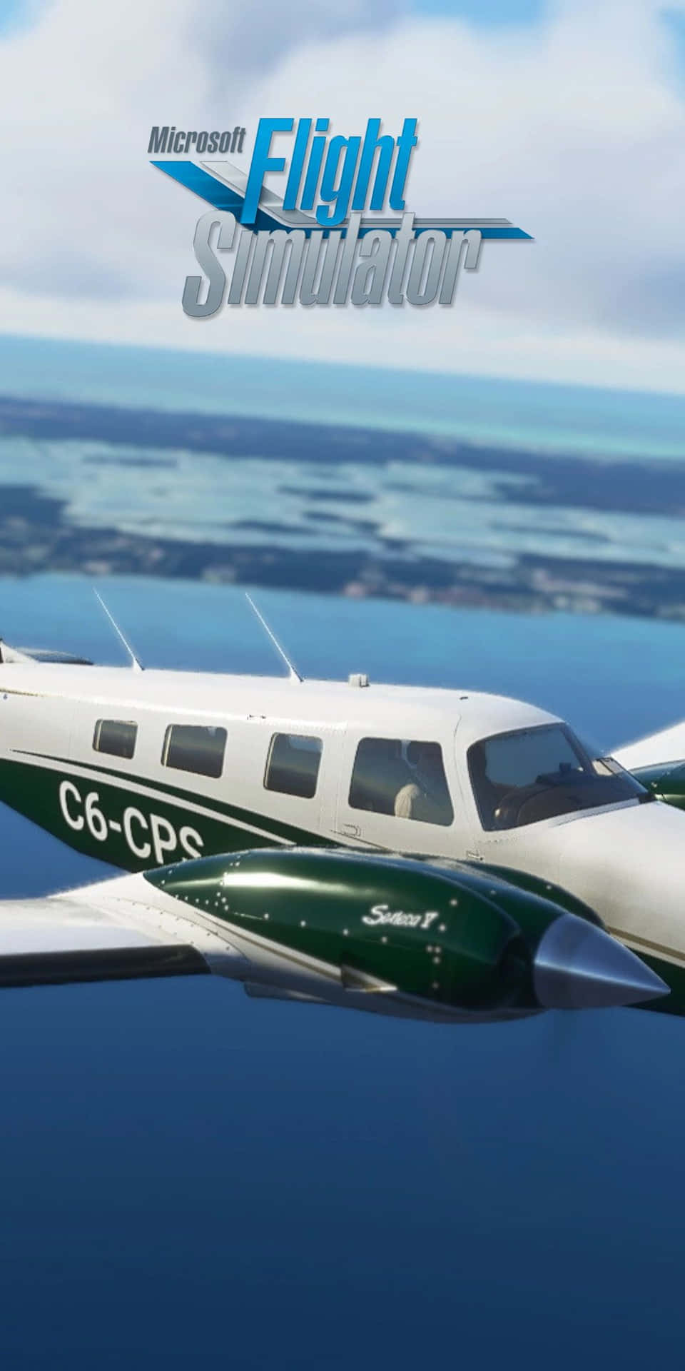 Microsoft Flight Simulator Xp