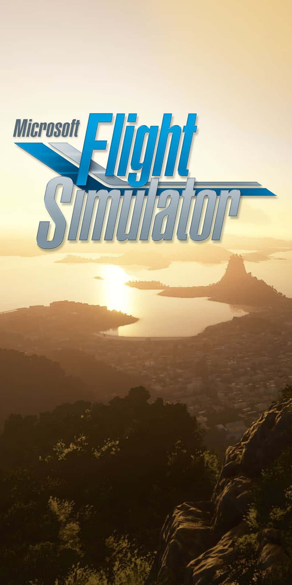 Simuladorde Vuelo - Microsoft Flight Simulator