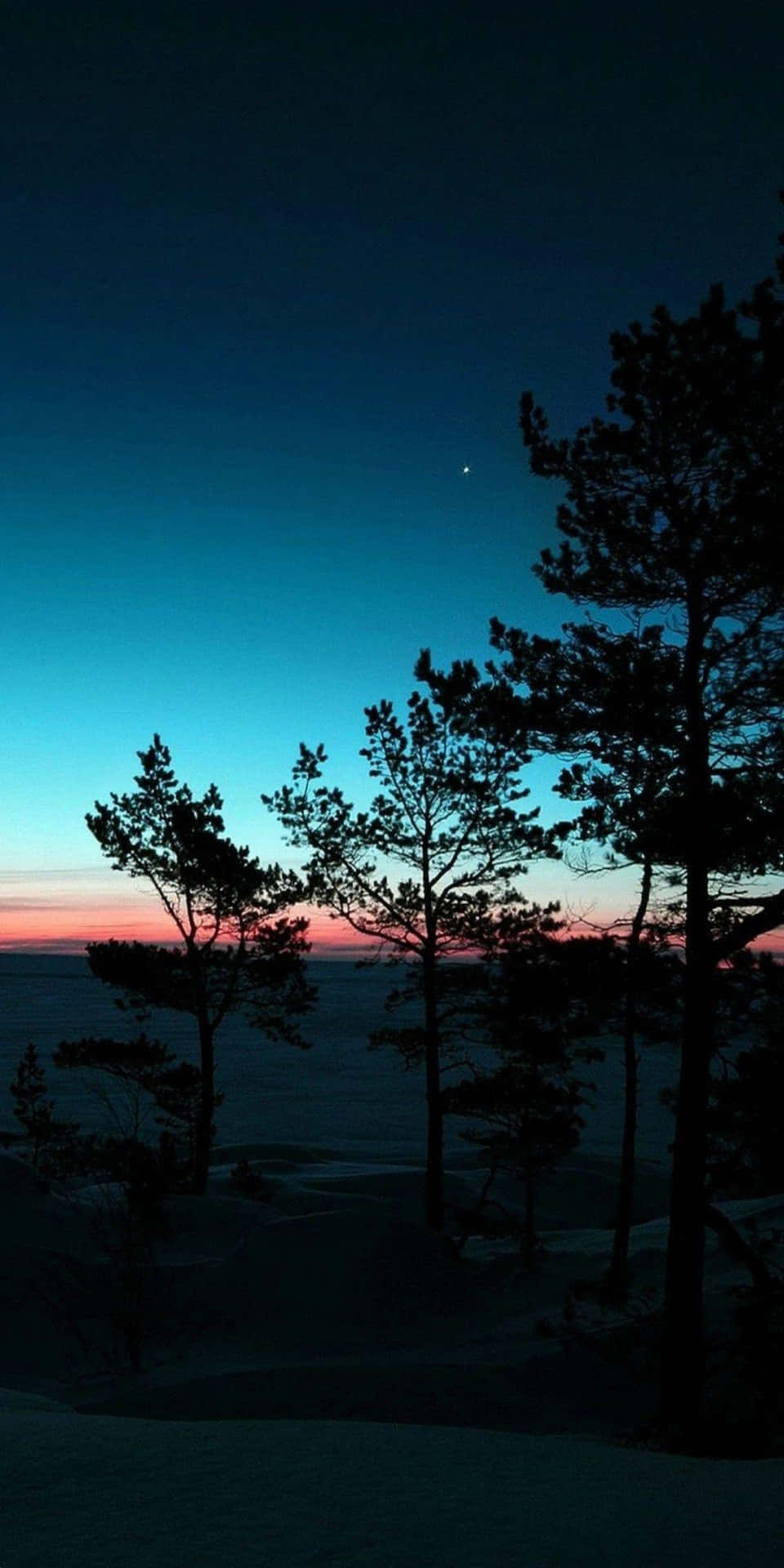 Pixel 3 Natur baggrunds Træ Silhuetter Solnedgang: