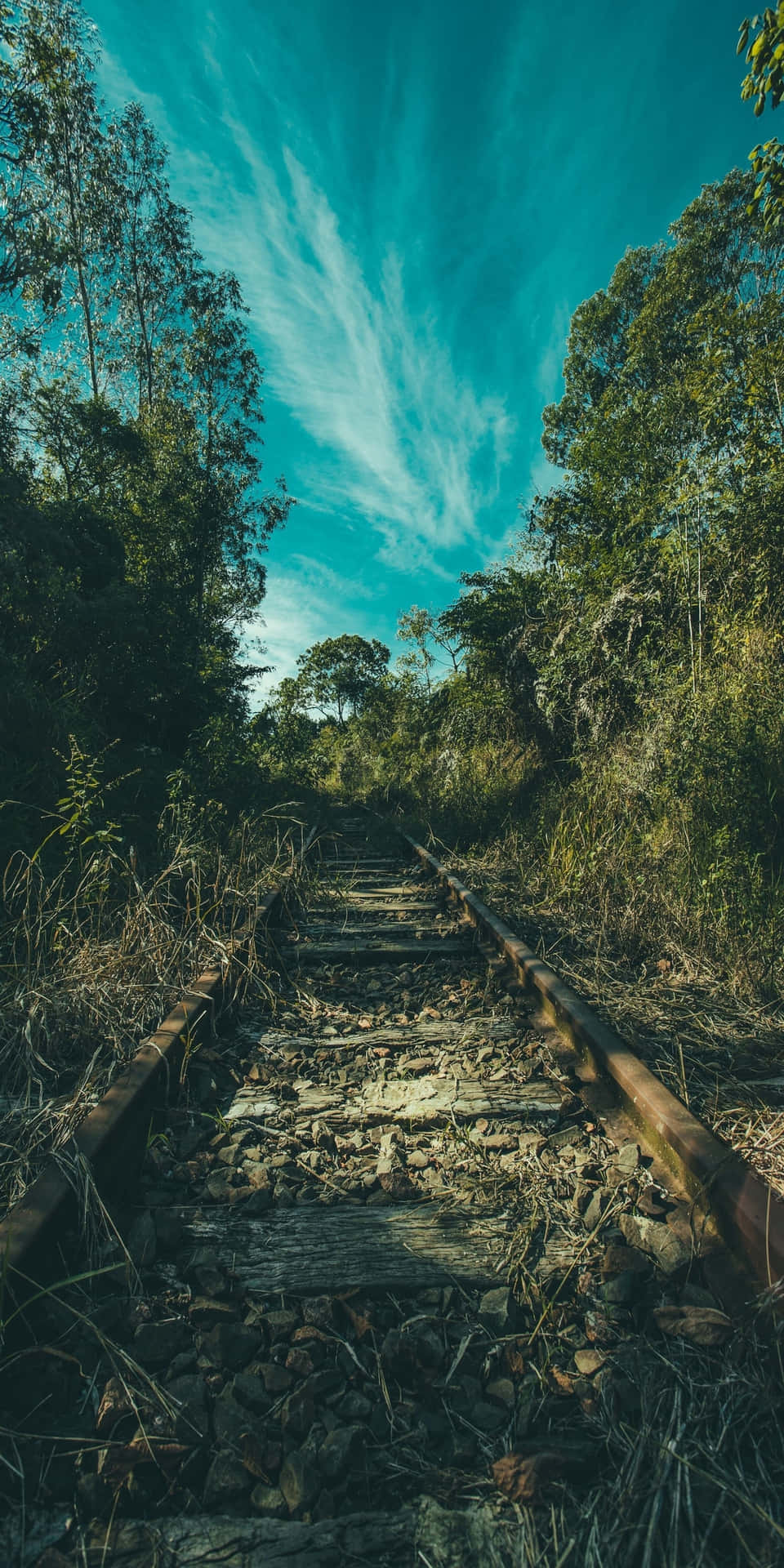 Pixel 3 Nature Background Railroad Track