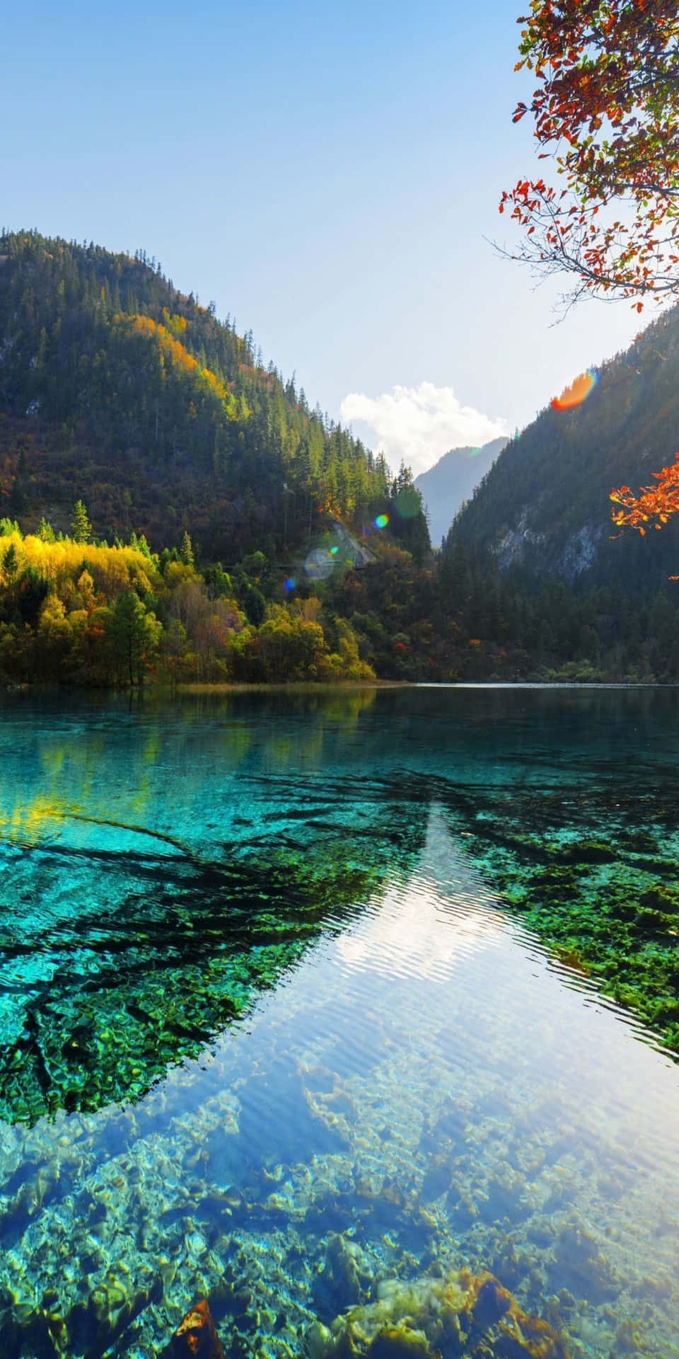Sfondonatura Pixel 3 Lago Montagne