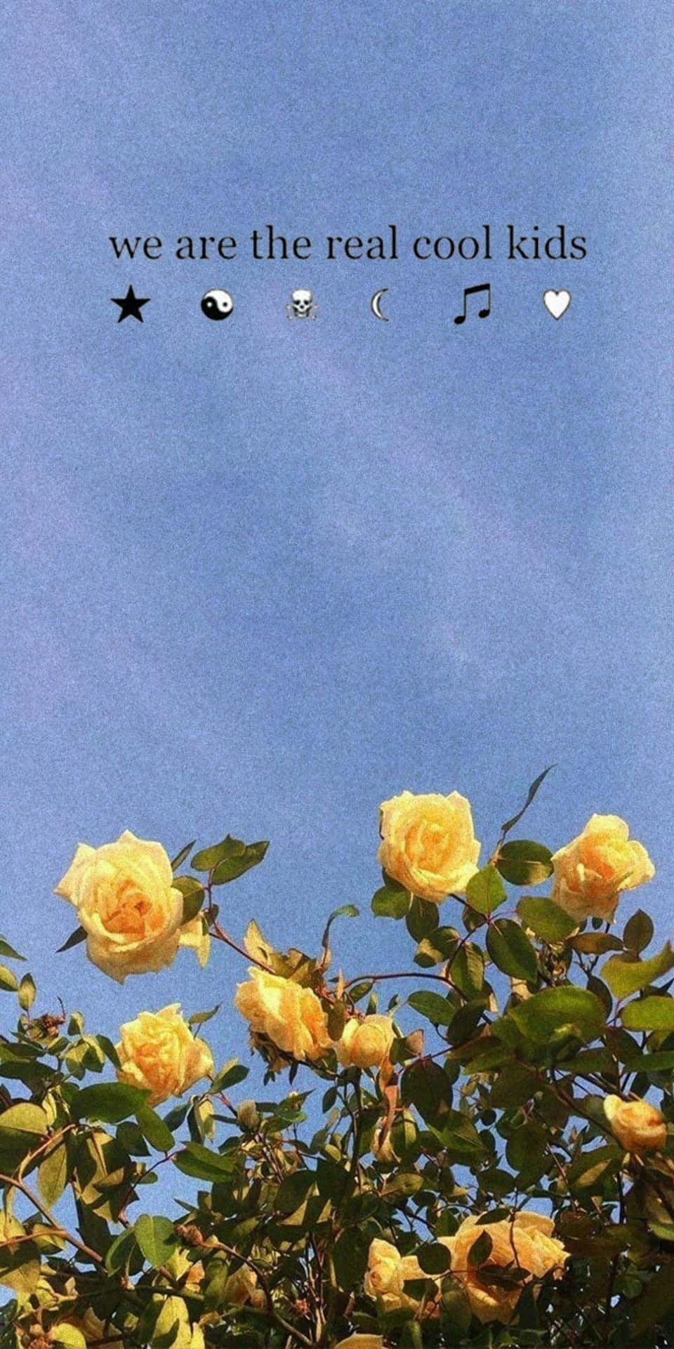 Baggrund af gule roser i naturen Pixel 3.