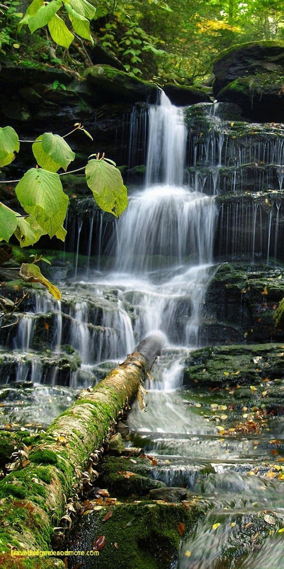 Pixel3 Naturhintergrund Wasserfall Pflanzen