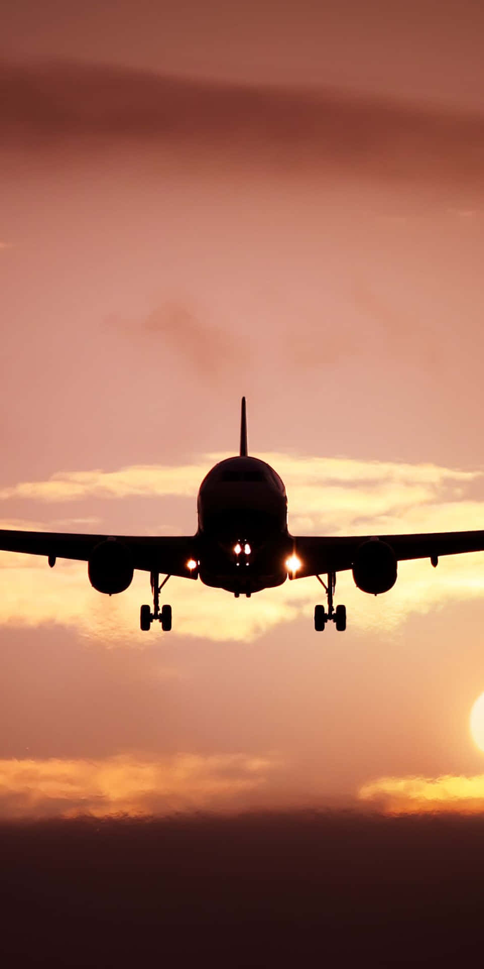 A Passenger Jet Flying In The Sky