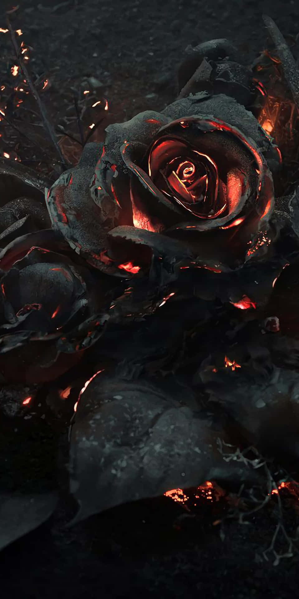 Pixel 3 Black Orange Rose Background