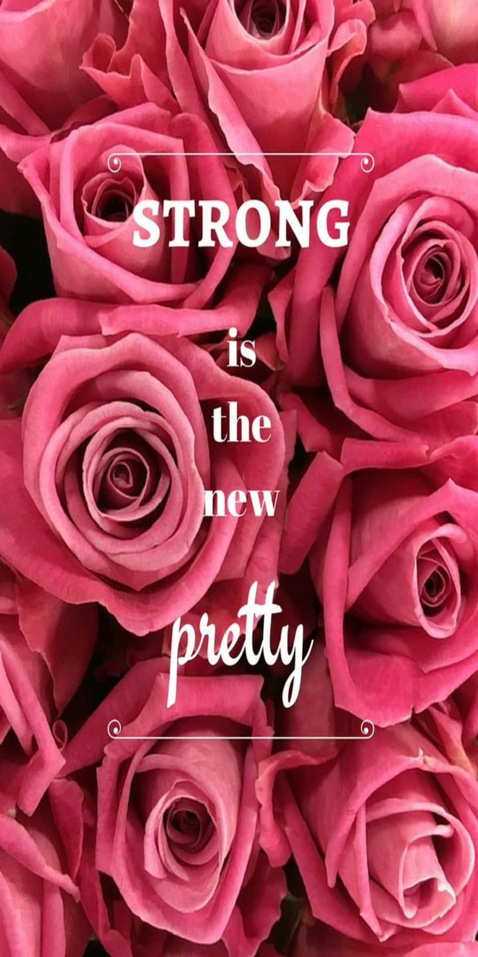 Pixel 3 Strong New Pretty Roses Background