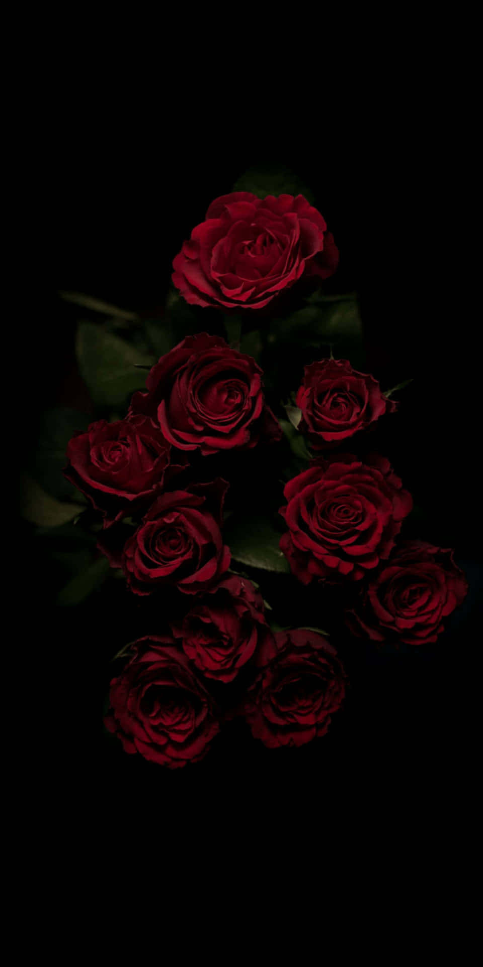 Fondode Pantalla De Pixel 3 Con Rosas Envolviendo La Oscuridad.